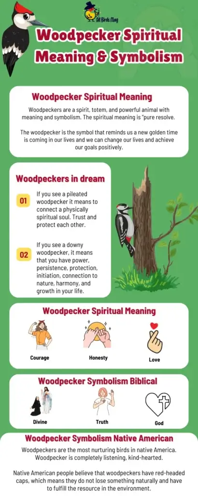 Woodpecker Spiritual Meaning & Symbolism