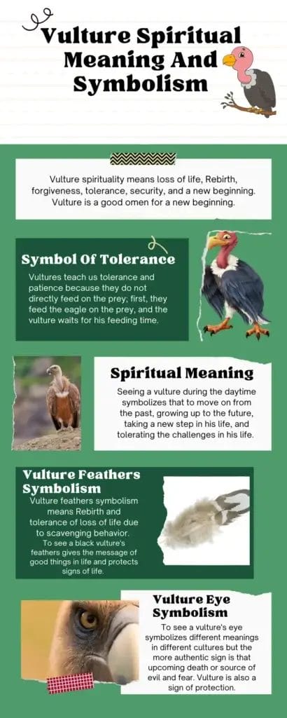 Woodpecker Spiritual Meaning and Symbolism